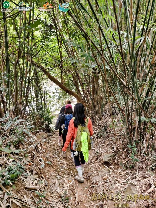 王下溯溪、船型屋寻踪、皇帝洞探秘，这场雨林黎乡之旅太上头！