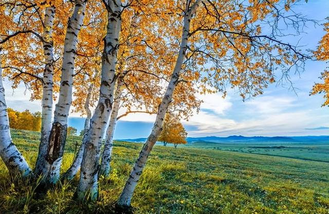 咸阳的秋浸着秦汉底蕴油画，这4 处赏秋地藏着不输长安的千年浪漫