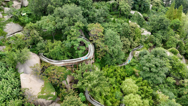 临沂春假旅行指南，请查收