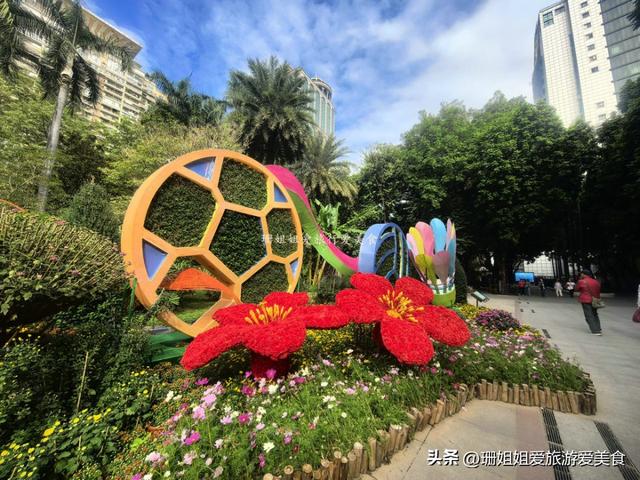 广州文化公园66届菊展，藏秋冬浪漫气息，延续全运会风情，免费