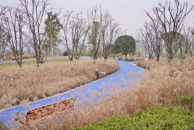 政在问丨“两江动物园”修哪里？龙兴、鹿山你最pick谁？