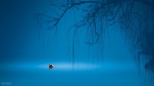 一次性学透|单词变复数后 “s” 的发音规则