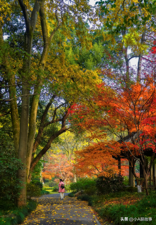 又一5A景区官宣永久免费！年入数亿，关键是秋天美到词穷！