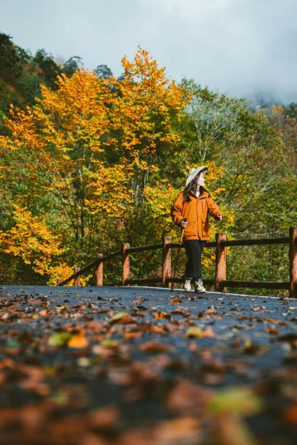 “秋假”开耍！带着小宝来雅安准没错！