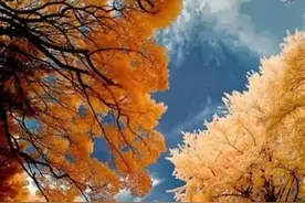 英国顶级摄影师镜头下的秋日，如梦似幻，仿佛童话世界图片