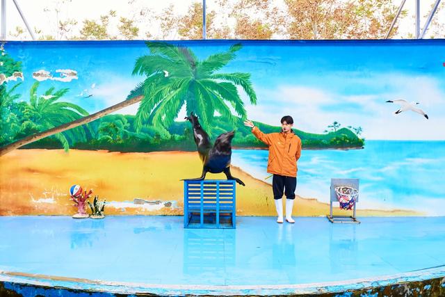 宿州野生动物园，从丛林之王到水上舞者，假日亲子研学游的好去处