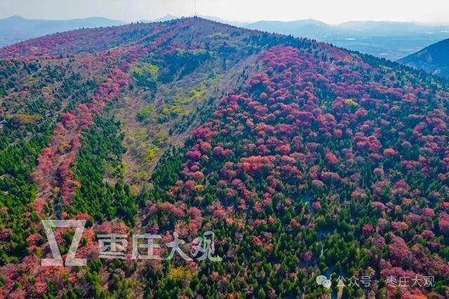 实拍枣庄牛郎山进入红叶观赏期！