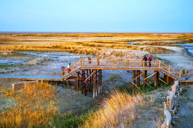 内蒙:雄伟壮观的额济纳沙漠!
