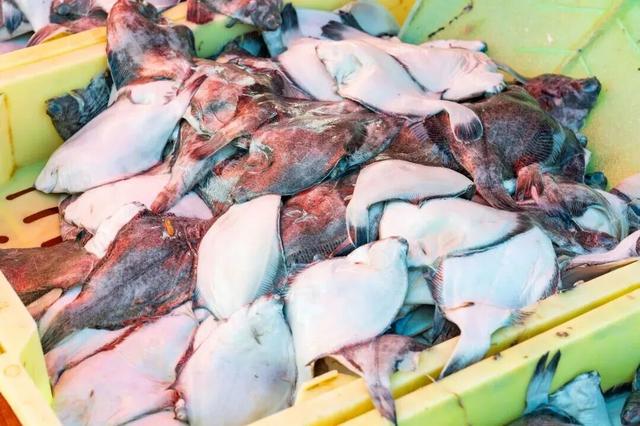 打卡限时浪漫，一键收藏隐珠街道最美秋色！