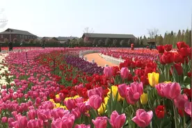 “这里是唯一向往的地方”！昆明凭啥成浪漫顶流？图片