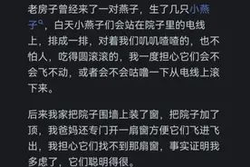 中国人为什么不吃燕子？看完网友的解释我彻底服了图片