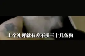 养宠商家店门口一周被扔30多只狗 挂横幅恳求不要再扔狗：希望养宠人能从一而终图片
