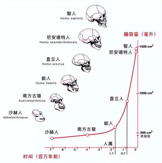 人类到底是如何诞生的？地球上第一个人又是谁？