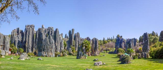 你所不知道的云南十八怪——石头长在云天外