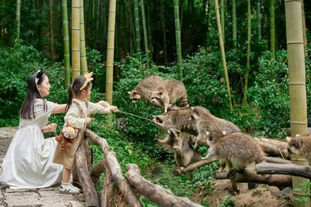 湄公河旅游旗下湖州长颈鹿庄园斩获2025“游乐界·金冠奖”杰出亲子乐园奖