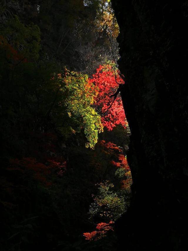 集“线”打卡！“错过集安的秋季，我将无法原谅自己”