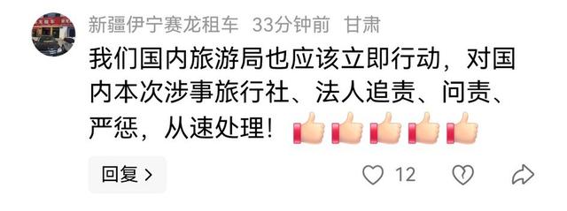 黑导游李海被抓！在泰国威胁中国游客，局长带队调查，还是个惯犯
