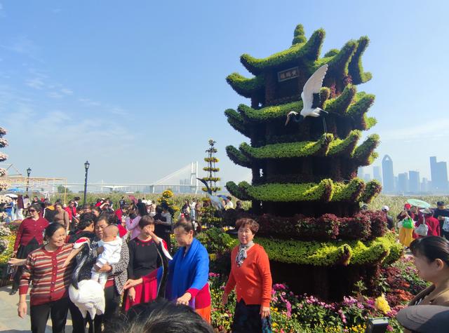 人从众菊花展VS男厕被沦陷