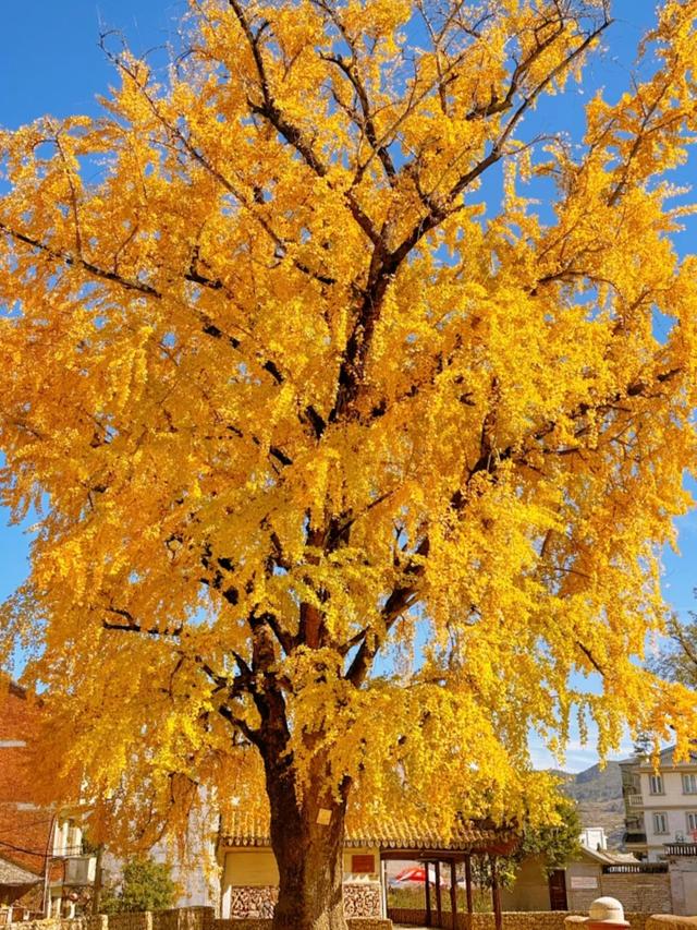 刚从温州回来，毫不夸张的说：未来最有闯劲的城市肯定是温州