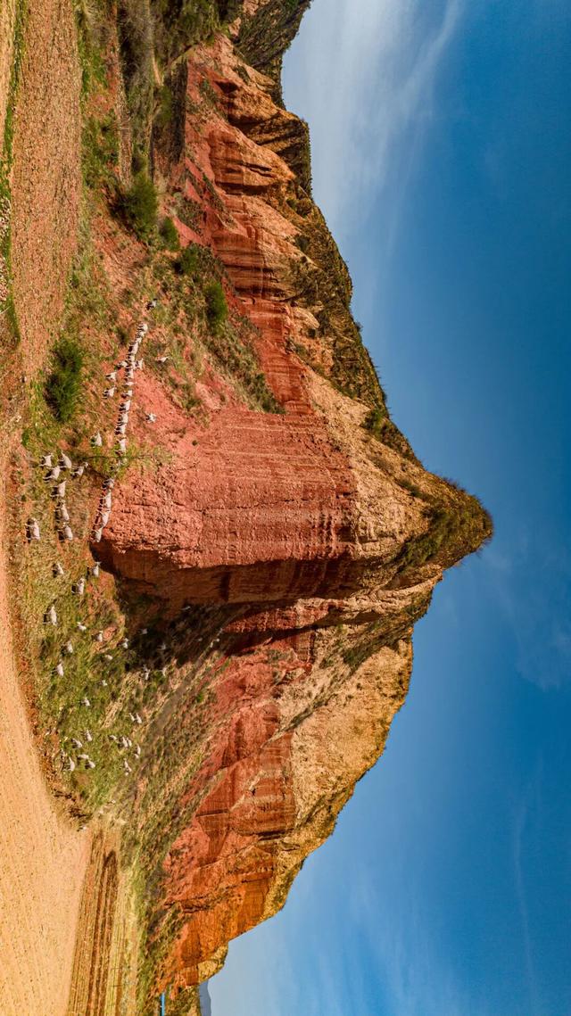 用一颗梨赚87亿？山西千年古县藏不住了，258万年前黄土埋秘密