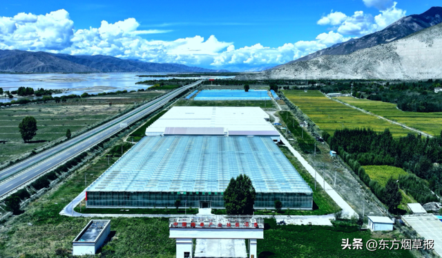 雪域高原、天山脚下，边关万里气象新