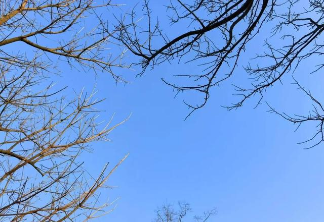 立冬将至，“白天立冬冻死牛，晚上立冬暖烘烘”，今年立冬在哪？