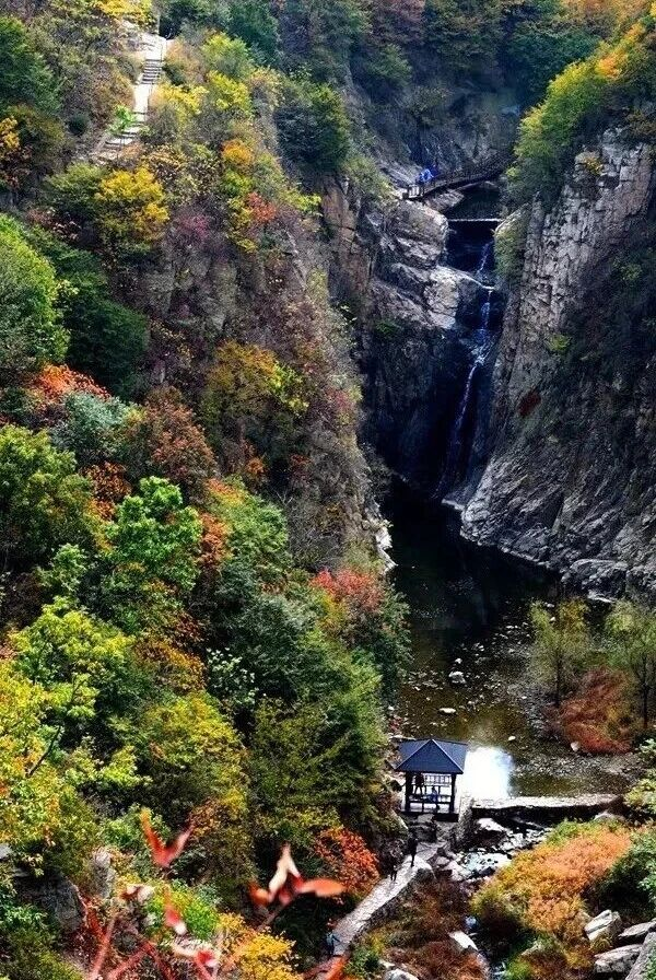 听说，山东的山最近变得「毛茸茸」？