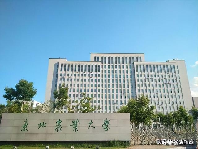 黑龙江10所大学！分数低实力强，2025考生捡漏