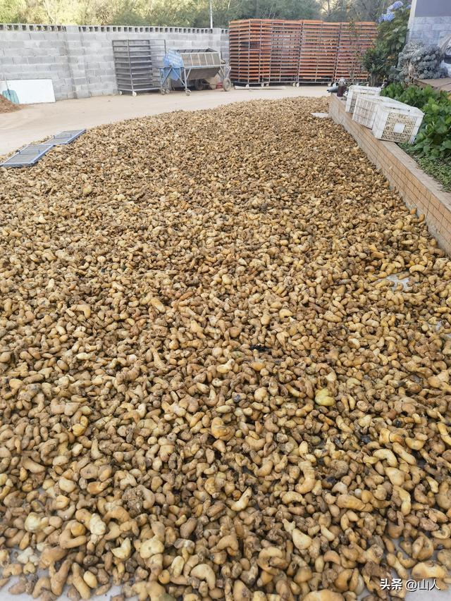 昆明→禄丰——滇西骑行散记之一