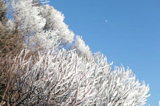 大寒雪落灵山！冬日限定美景已陆续上线