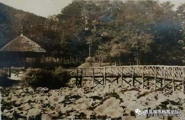 青岛中山公园小西湖凉亭的前世今生