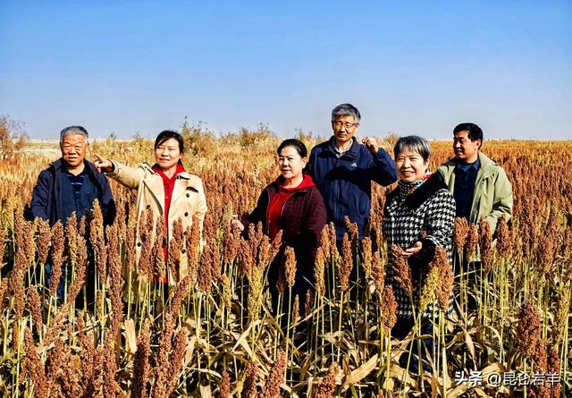 沙雅县470万亩胡杨正把全年最浓烈的色彩最后一次性释放出来