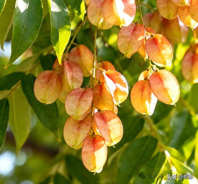涉县：美拉德配色里，藏着橙黄橘绿的诗意