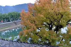 重游溪口蒋氏故居 民国记忆——浙江行第三十站图片