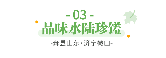奔“县”山东！这里是荷都水乡 诗意微山