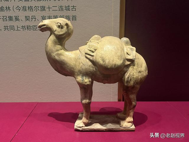 在内蒙古博物院新馆，我摸到了长城两千年的“文化脉搏”