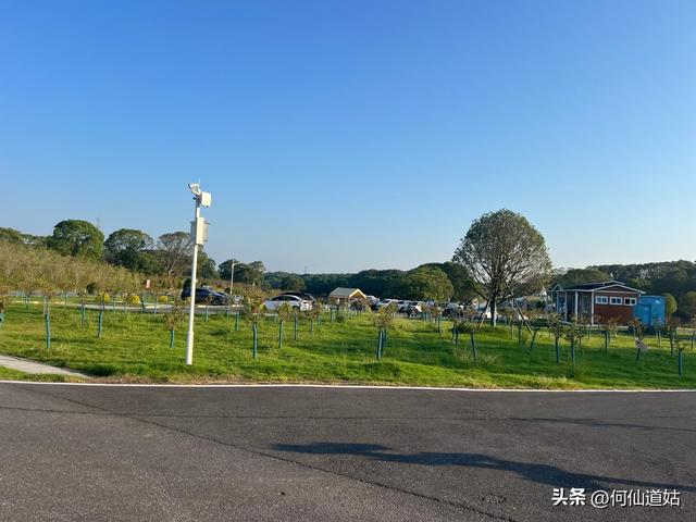 吴城狮子山观鸟