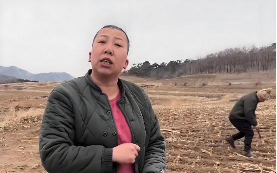 装疯卖傻，丑态百出，目不识丁，到底是谁捧红了这些跳梁小丑？