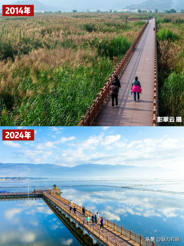 这些年，异龙湖的这“一抹蓝”更动人了