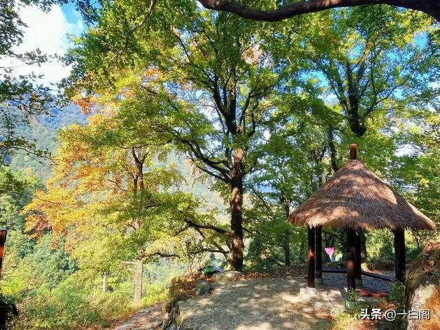 江南香山——天台·南黄古道
