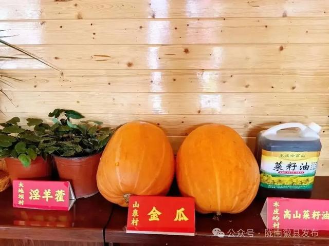 徽县第二届“诗韵大河•文池秋色”庆国庆迎中秋农文旅赋能促消费活动预告出炉，精彩抢先看！