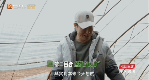 花胶猪脚灵芝 2025年灵芝花胶煲猪骨汤的功效