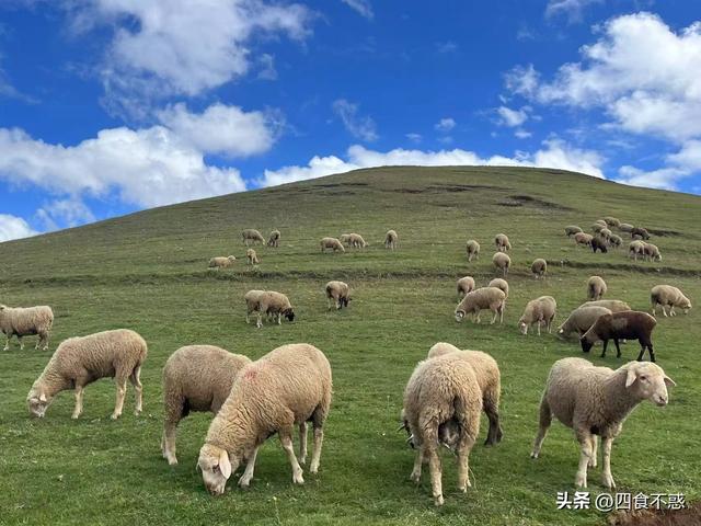 低调的昭通快藏不住了，其貌不扬的美食竟然这么好吃！