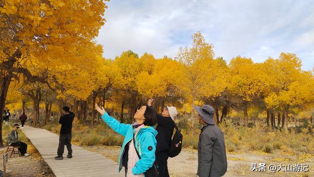 2025国庆西北自驾游（3）：黑城弱水胡杨风景区