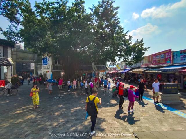 深圳这条街，曾经挤破头都难进入，现在扫码就进却为何没人去了？