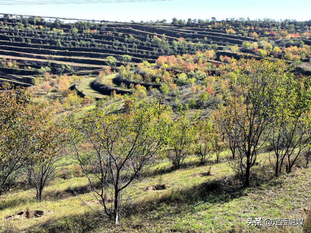 安定区：拾叶觅秋