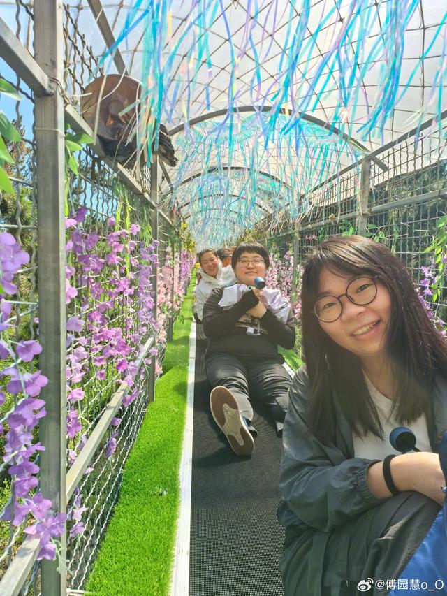 网友调侃：“傅园慧以洪荒之力拔掉浙江在烟台的牌子”！