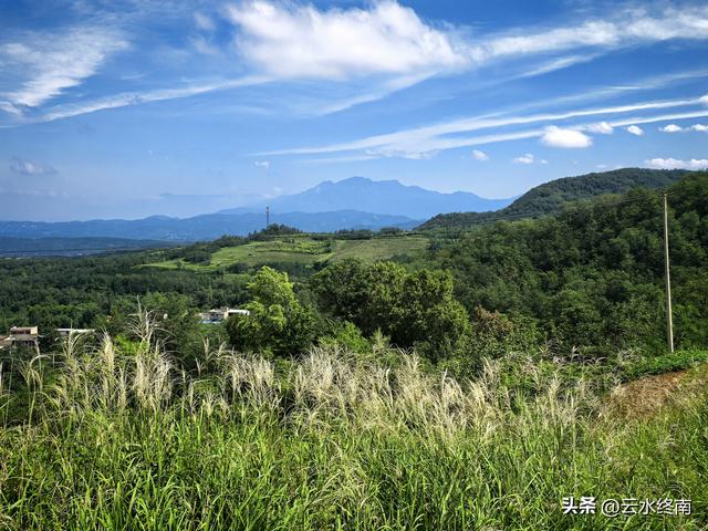 蓝田的美，美在隐秘：这是山边一条少有人走的路，我却走过很多次