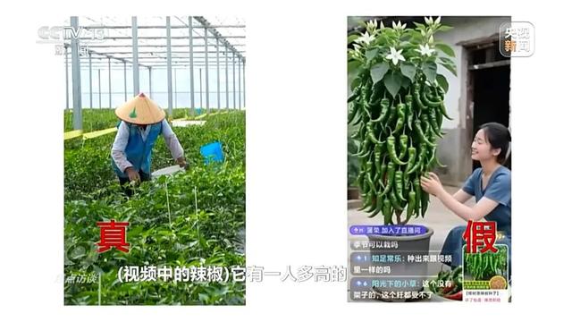 假的！假的！很多人信了！央视曝光