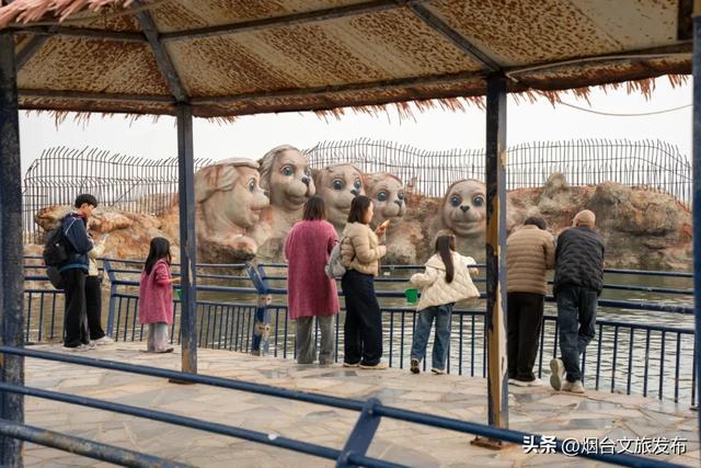 周末好去处丨人少免费!烟台小众公园美疯了